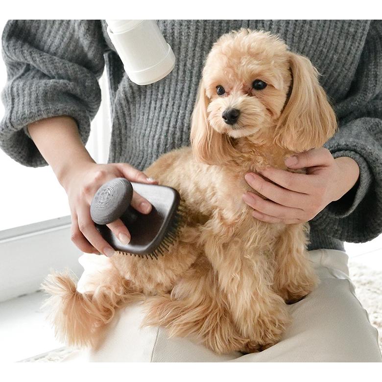 LOUVREDO 復元ブラシPET ルーヴルドー ペットブラシ グルーミング