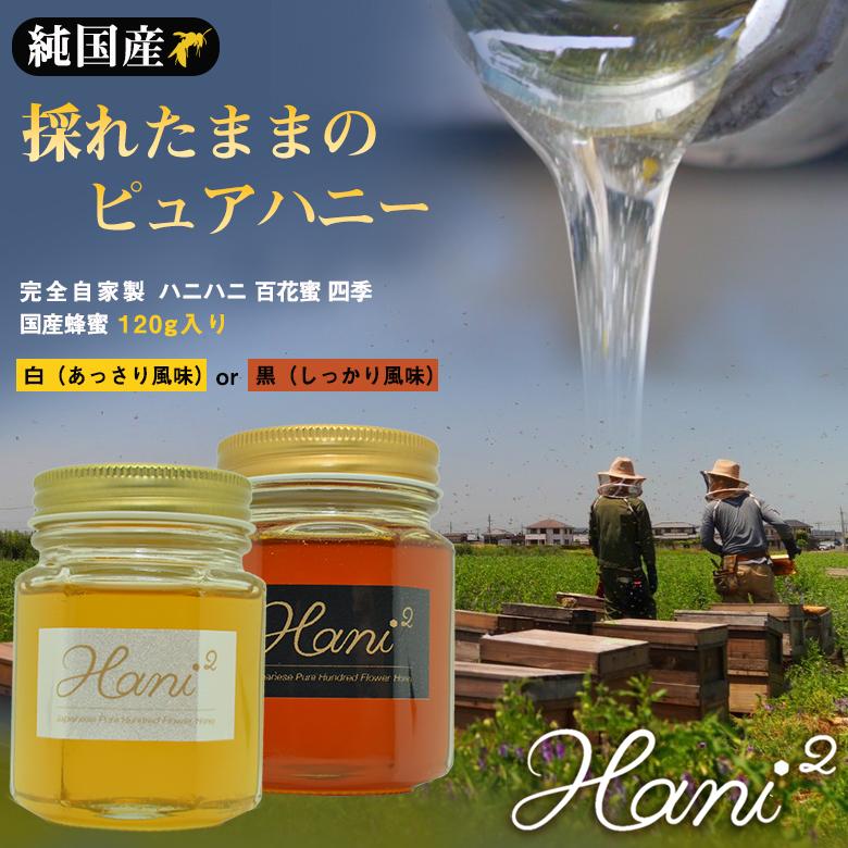 Hani2 百花蜜 四季 120g 蜂蜜 はちみつ ハチミツ ハニー 純国産 Hani2 百花蜜 四季 120g 蜂蜜 はちみつ ハチミツ ハニー 純国産
