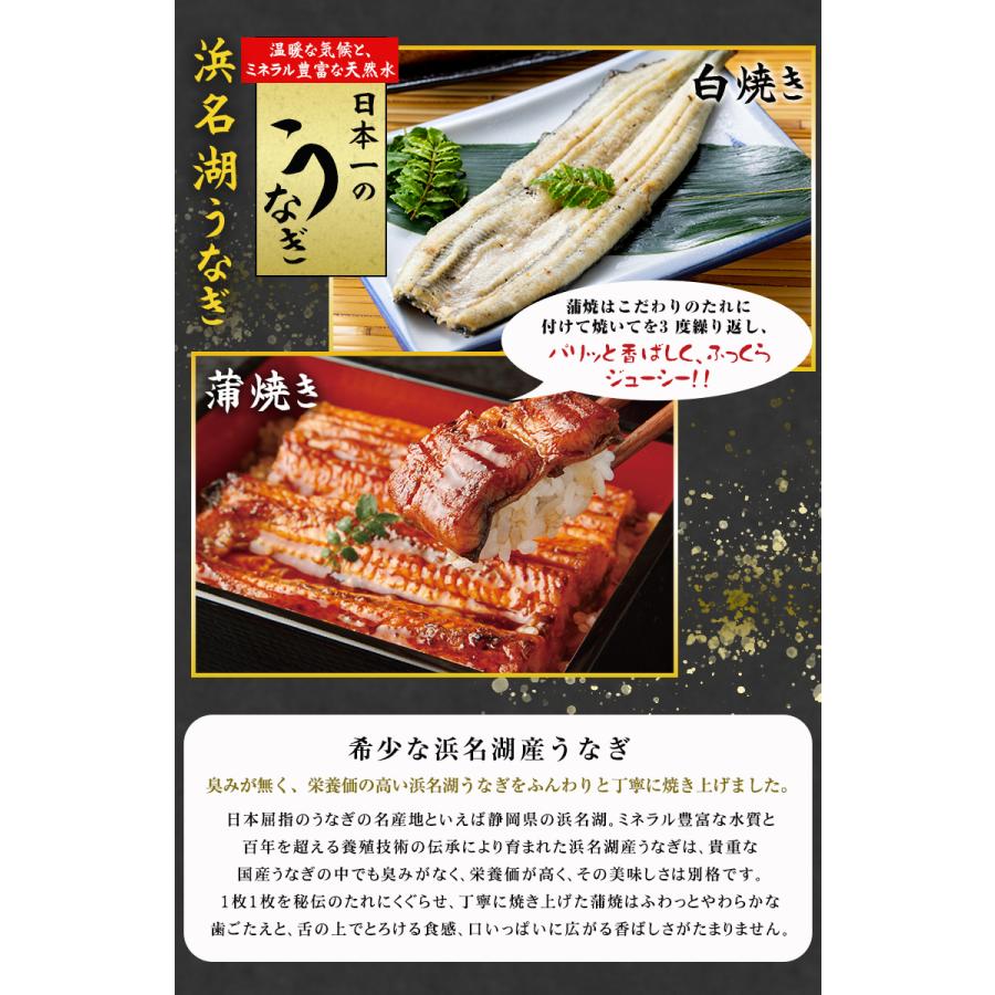 蒲焼2 白焼き6 スコーン2 浜名湖うなぎ蒲焼白焼 2人前 110g×2本 長焼き 鰻蒲焼き 白焼き 冷凍