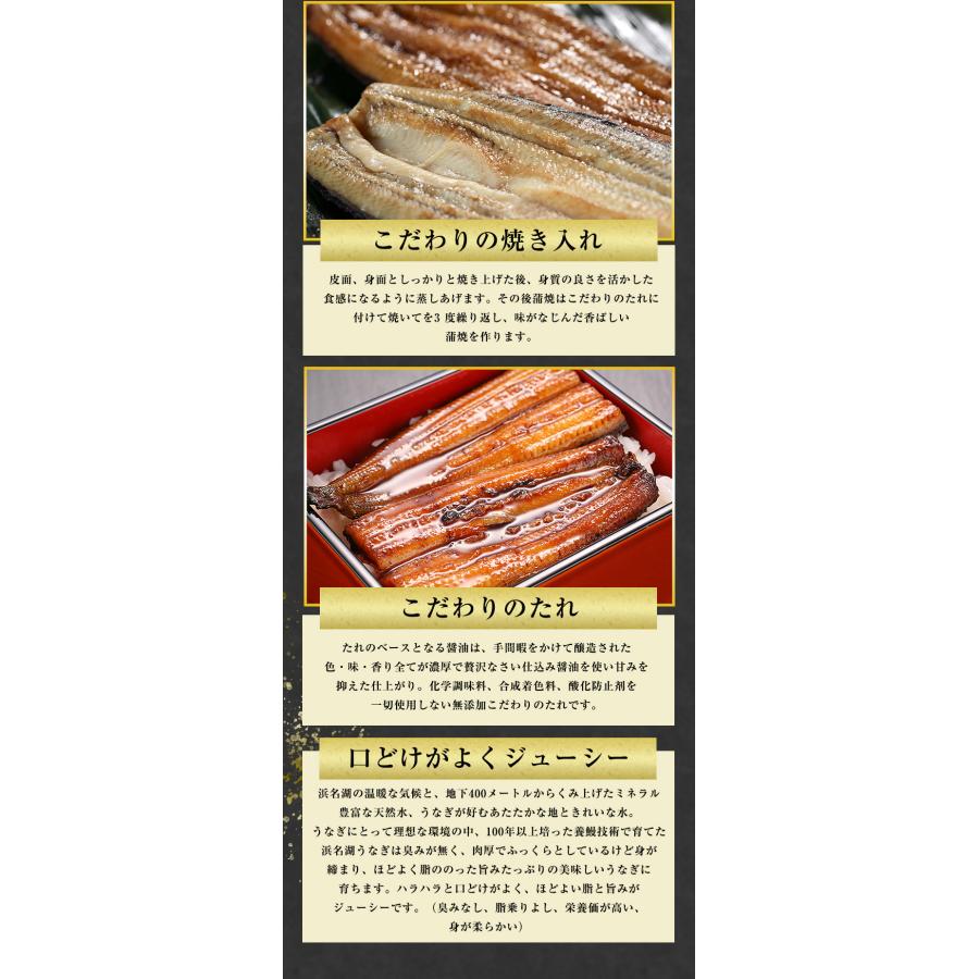 浜名湖うなぎ蒲焼白焼 2人前 110g×2本 長焼き 鰻蒲焼き 白焼き 冷凍
