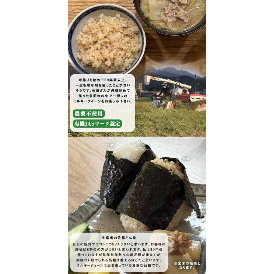 令和7年新米 魚沼産 農薬不使用 有機認定 ミルキークイーン 玄米 5kg
