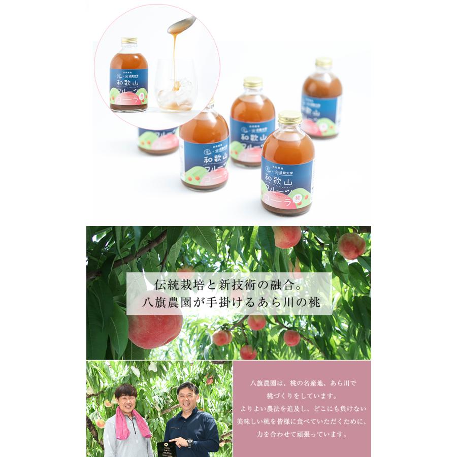和歌山フルーツコーラ 桃 250ml 2本入り クラフトコーラ コーラ 八旗