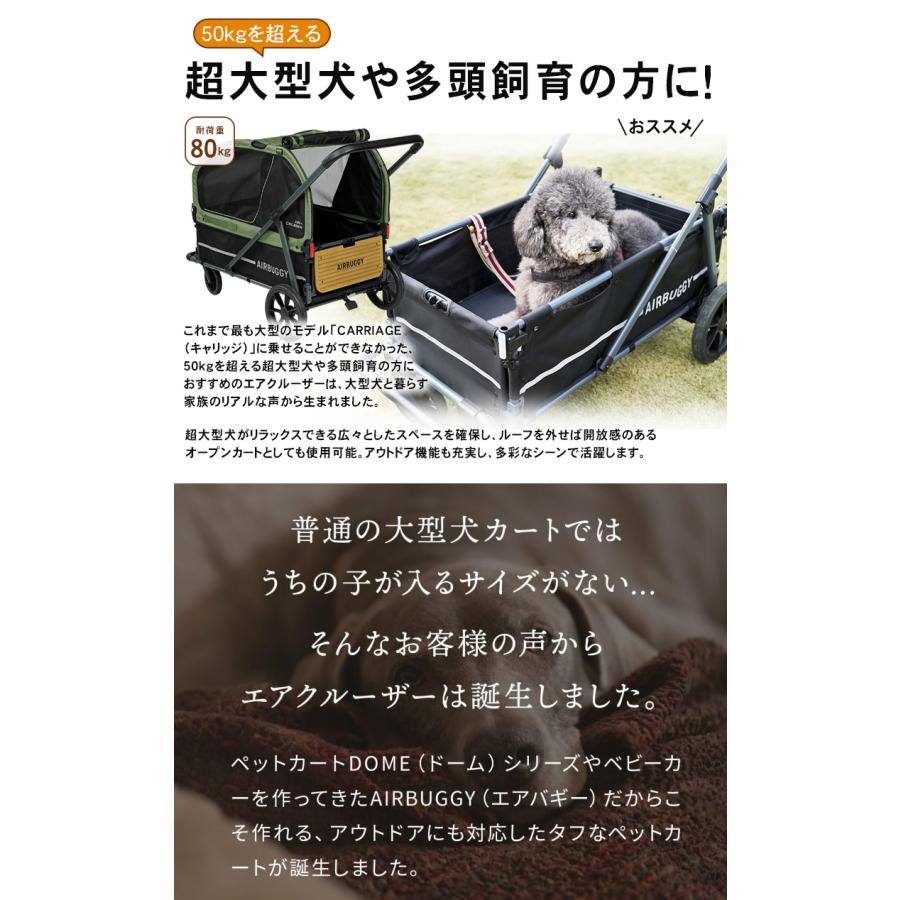 エアバギー AIR CRUISER SET【ベース・ルーフセット】 AIRBUGGY エア