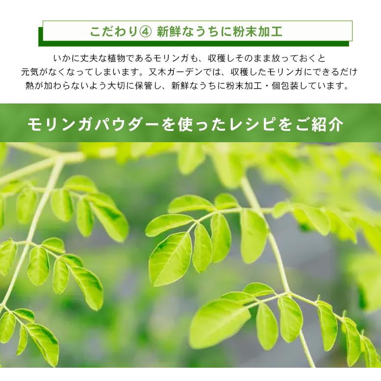 有機モリンガパウダー 個包装（1g×20包） もりんが モリンガ 持ち運び