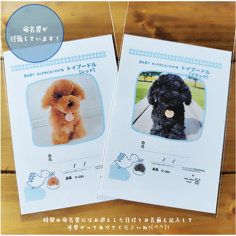 トイプードル 犬 ぬいぐるみ リアル Baby alpaca fuwari ベビー