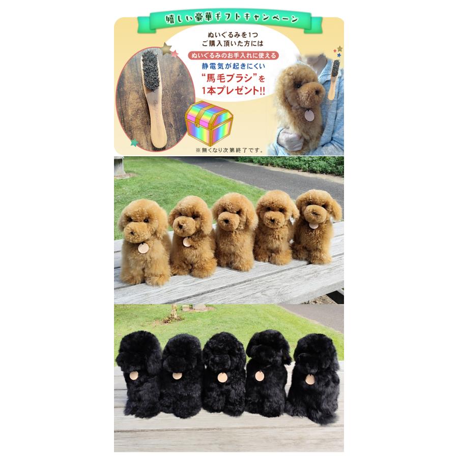 トイプードル 犬 ぬいぐるみ リアル Baby alpaca fuwari ベビー