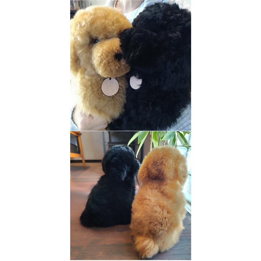 トイプードル 犬 ぬいぐるみ リアル Baby alpaca fuwari ベビー