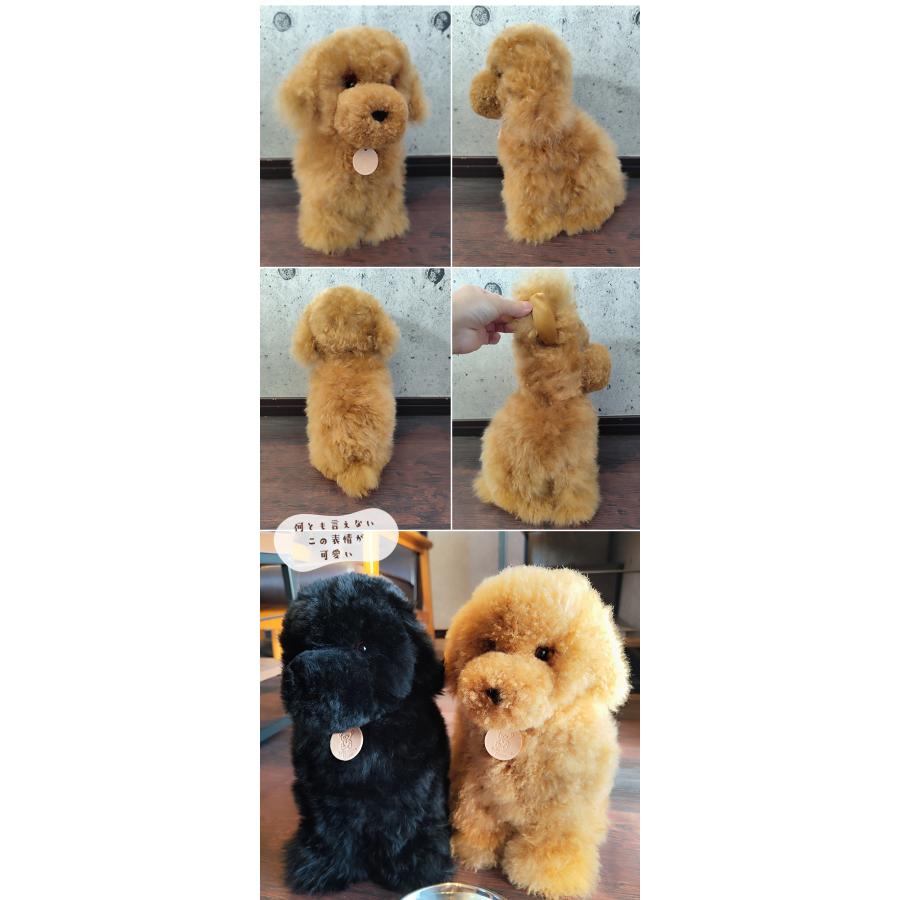 トイプードル 犬 ぬいぐるみ リアル Baby alpaca fuwari ベビー