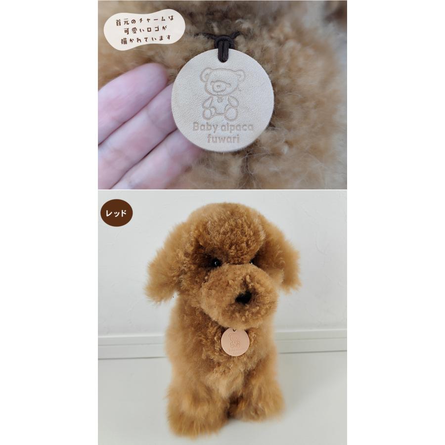 トイプードル 犬 ぬいぐるみ リアル Baby alpaca fuwari ベビー