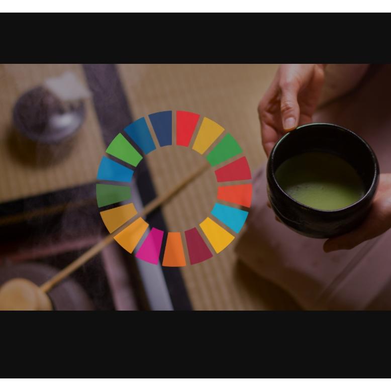 Tatami de 茶会 茶道セット お茶キット 道具 畳 茶筅 美濃焼抹茶碗