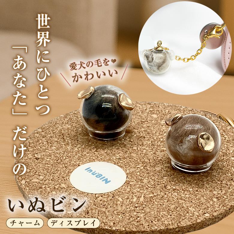 いぬビン チャーム ディスプレイ いぬびん イヌ瓶 いぬ瓶 inubin 