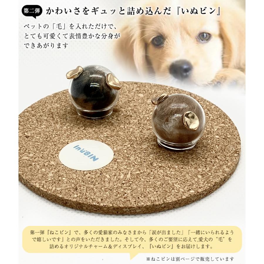 いぬビン チャーム ディスプレイ いぬびん イヌ瓶 いぬ瓶 inubin 