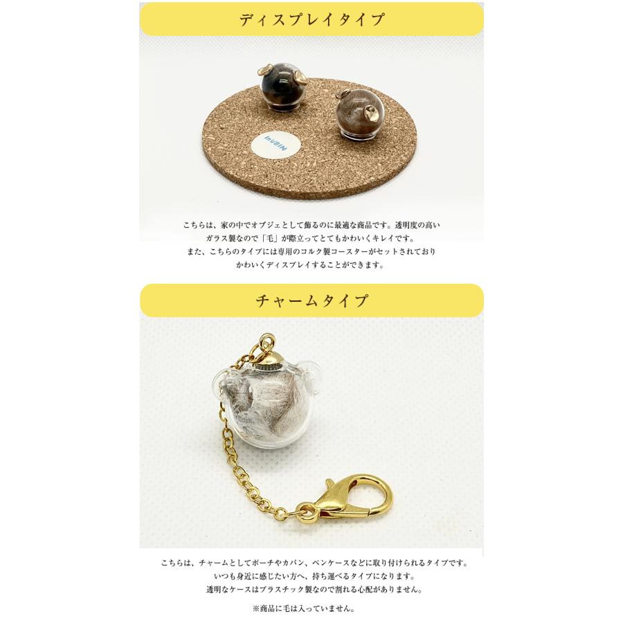 いぬビン チャーム ディスプレイ いぬびん イヌ瓶 いぬ瓶 inubin 