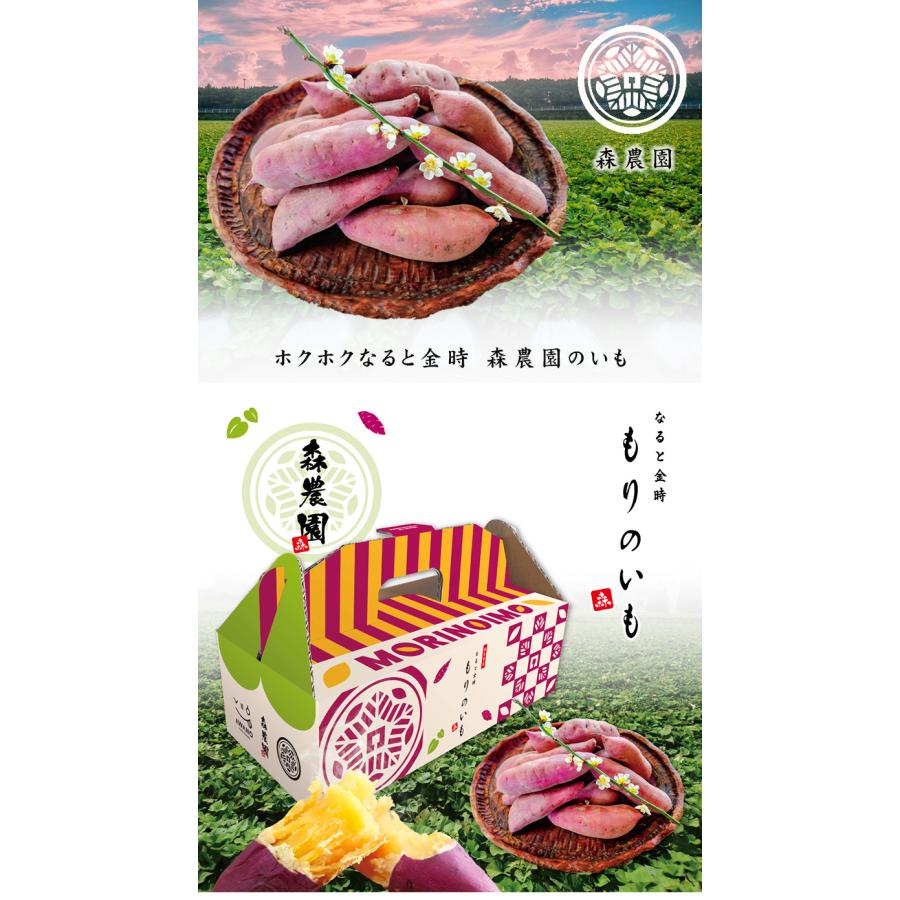 森農園 もりのいも 1.5kg BOX なると金時 鳴門金時 さつまいも