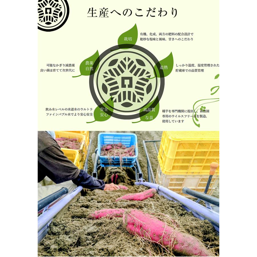 森農園 もりのいも 1.5kg BOX なると金時 鳴門金時 さつまいも
