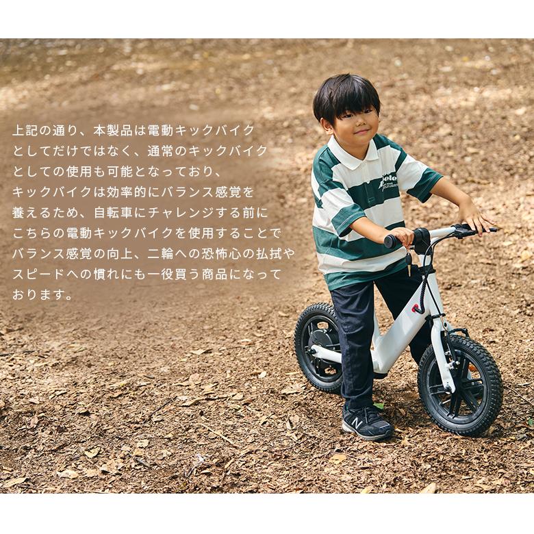 電動キックバイク】FirstRider ファーストライダー 対象年齢3歳半年
