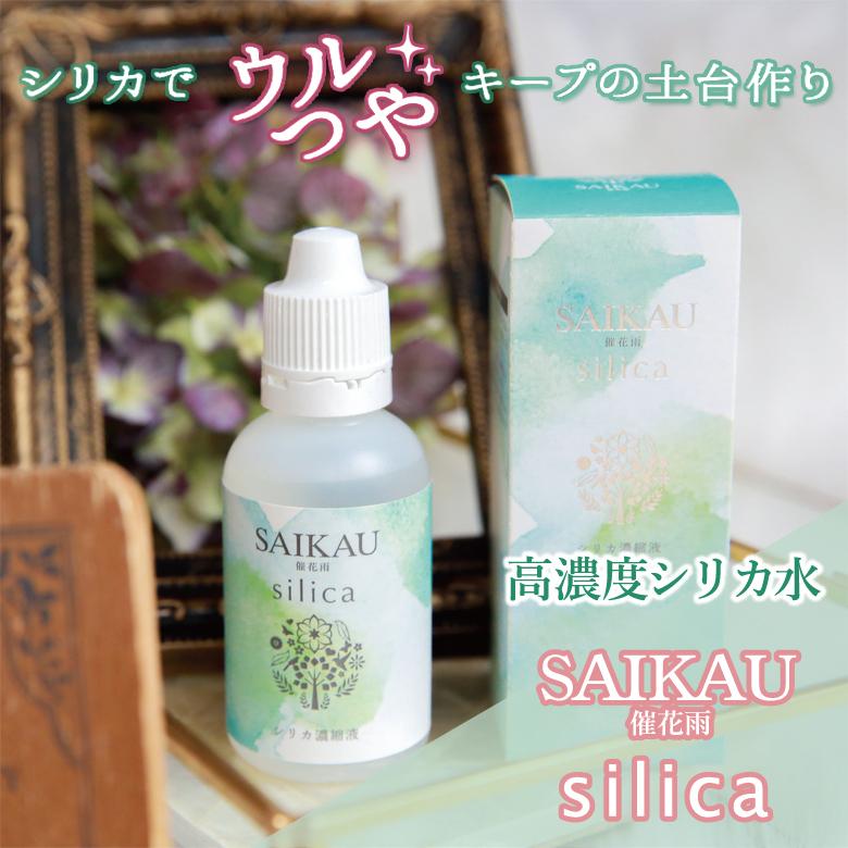 シリカ 高濃度 シリカ水 濃縮 日本製正規販売店 SAIKAU silica 催花雨