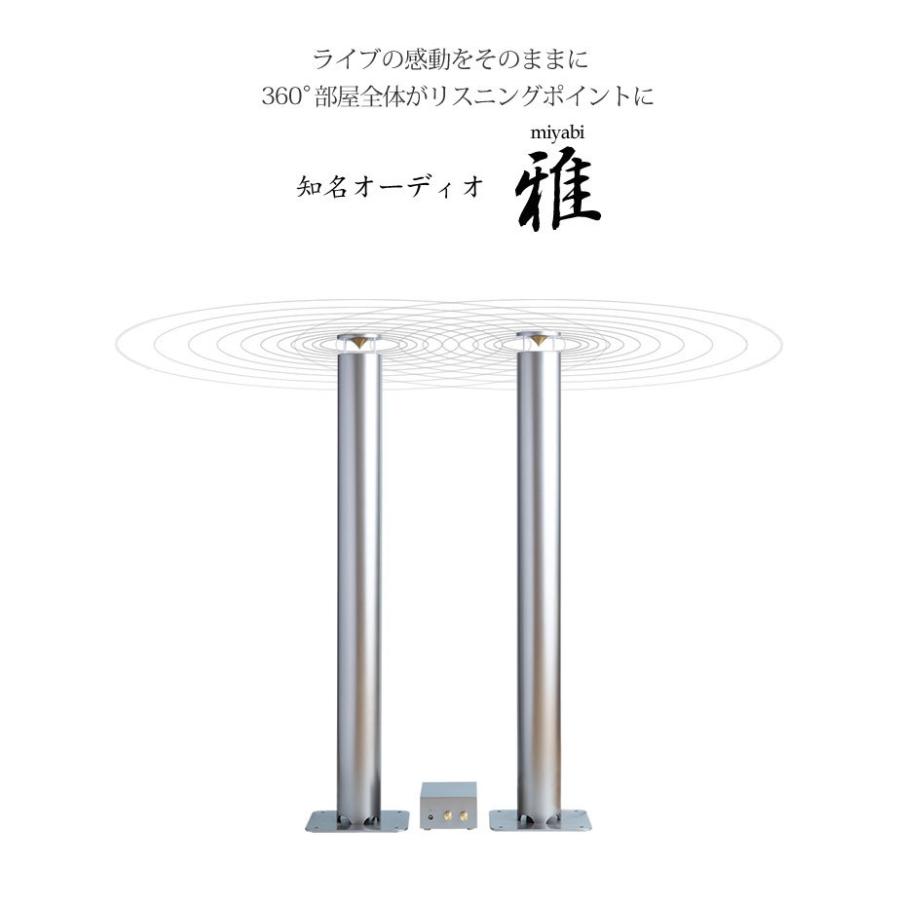 知名オーディオ全指向性スピーカー 35Hz〜30kHz 雅 Miyabi 1m