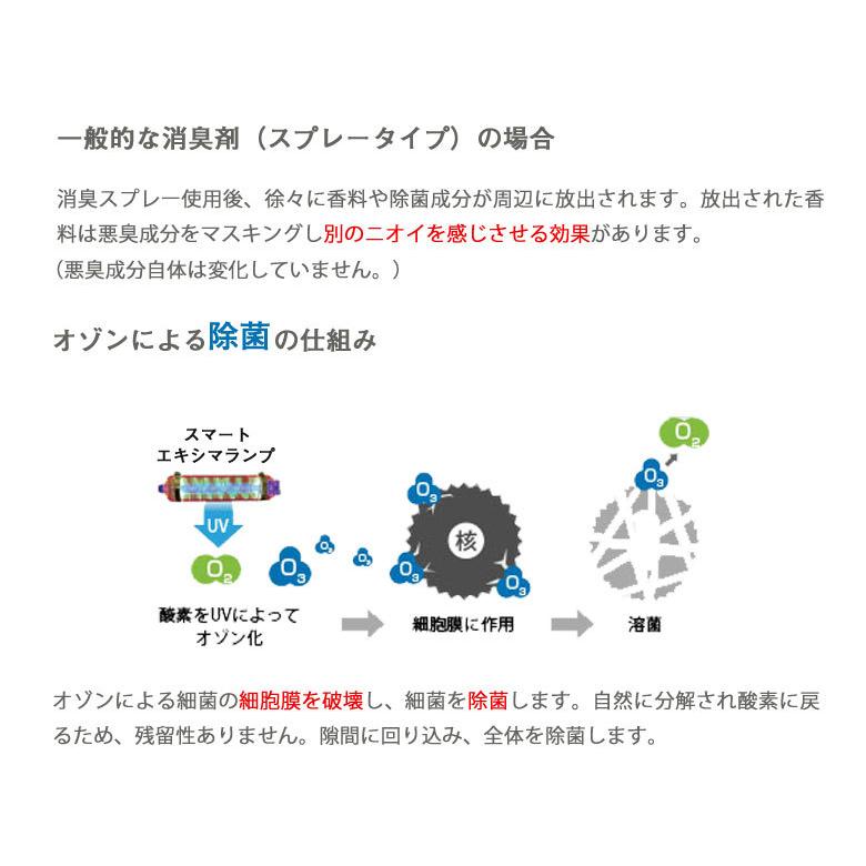 オゾン生成 除菌 消臭 洗浄 エアビーナスミニ ARV-O3MI 3畳〜40畳
