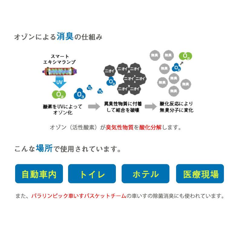 オゾン生成 除菌 消臭 洗浄 エアビーナスミニ ARV-O3MI 3畳〜40畳