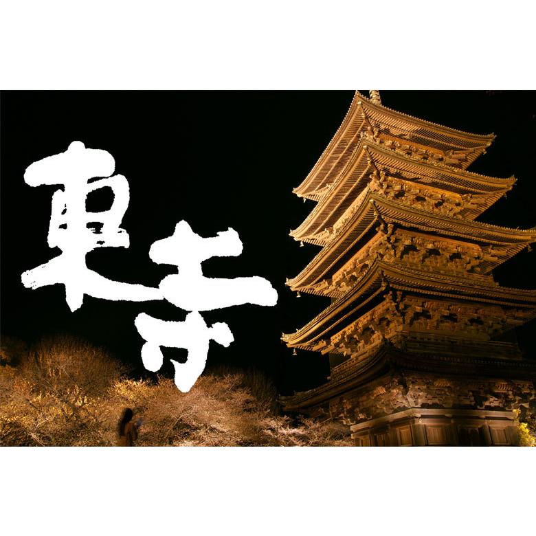 MINIBUTSU ミニブツ 立体曼荼羅21体セット 国宝東寺監修 ミニチュア