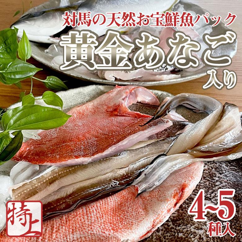 黄金あなご入り 対馬のお宝鮮魚パック 特上 下処理不要 天然物 穴子 あなご 黄金あなご 鮮魚 詰め合わせ セット 対馬 お刺身 煮つけ 揚げ物など お正月 料理 Taku0140 想いを繋ぐ百貨店 Tsunagu 通販 Yahoo ショッピング