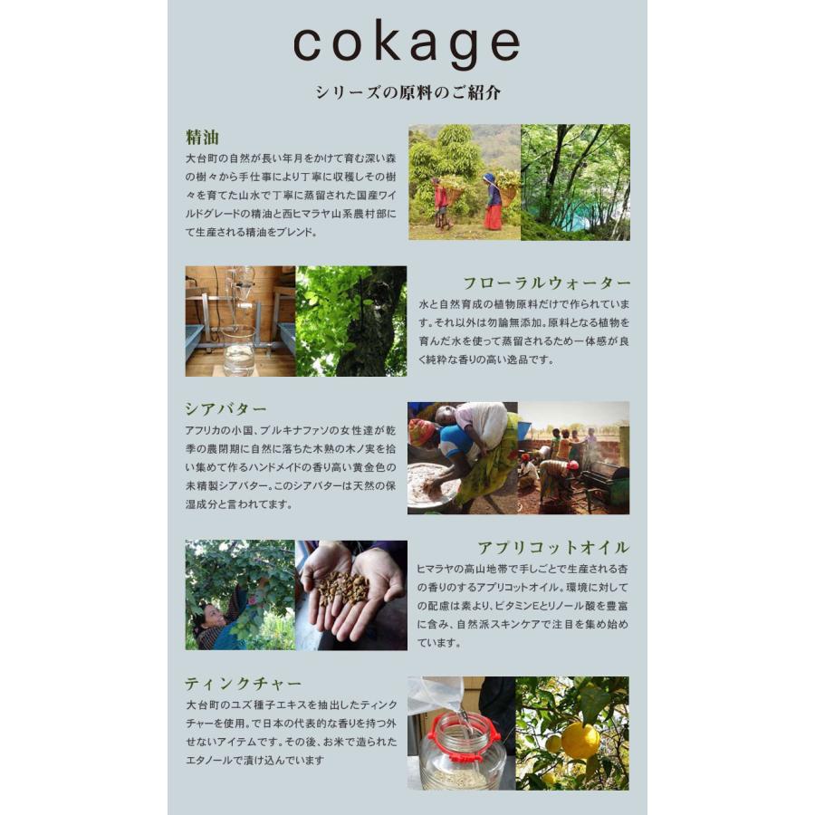 cokage ナイトエステクリーム 200g 天然原料 乳化剤不使用 シアバター オオダイ 万古焼 桐の木箱入り クロモジのスパチュラー へら 付の画像