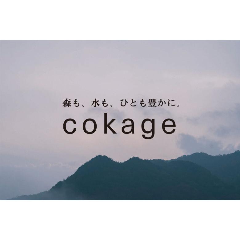 cokage ナイトエステクリーム 200g 天然原料 乳化剤不使用 シアバター オオダイ 万古焼 桐の木箱入り クロモジのスパチュラー へら 付の画像
