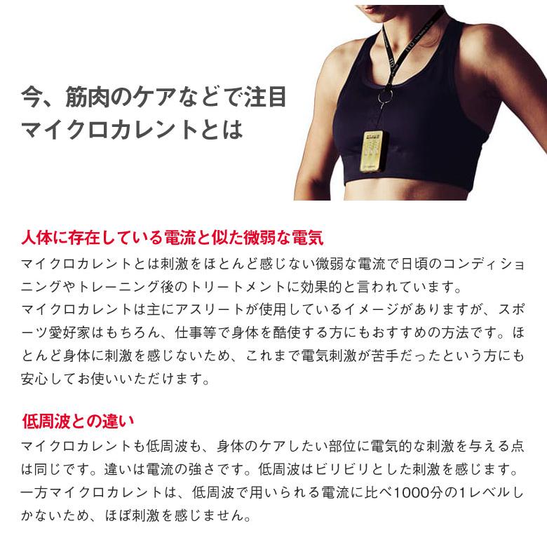 AT-mini Personal I本体セット伊藤超短波 ITO ポータブル マイクロ
