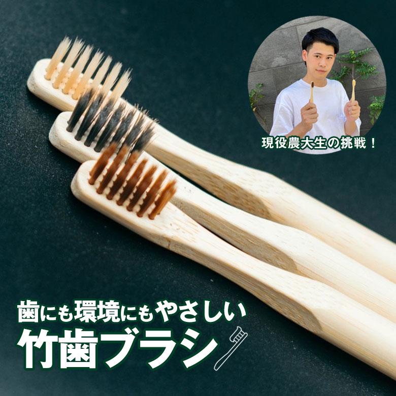 竹歯ブラシ 竹の歯ブラシ 竹ハブラシ 竹製歯ブラシ 超軽量 歯みがき 竹
