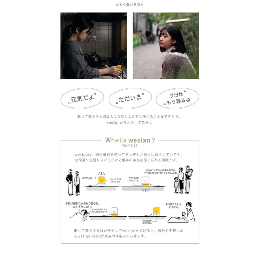 ひかりで繋がる照明 wesign ウィーサイン 簡単セットアップキット付き