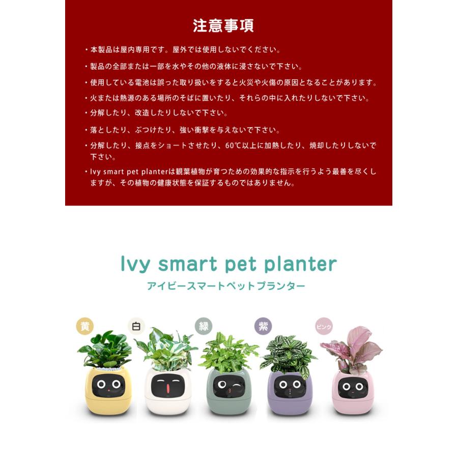 アイビースマートペットプランター Ivy アイビー プランター AI