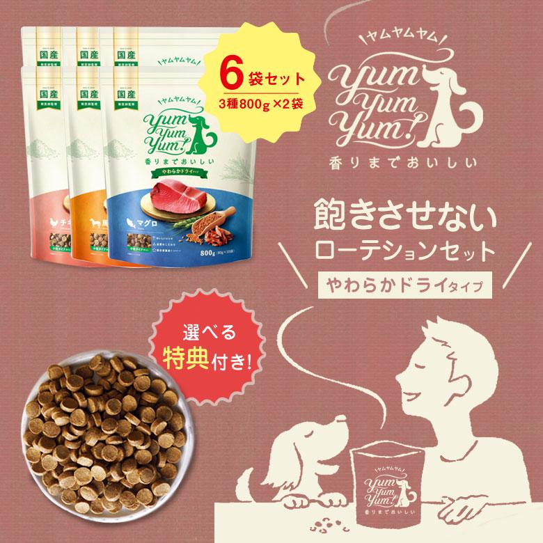 特典付き yum スタンダード やわらかドライタイプ（3種800g×2袋）計6