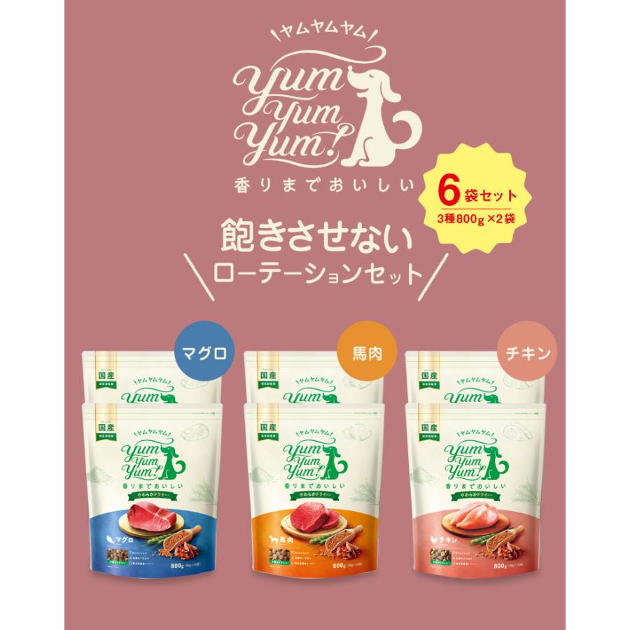 特典付き yum スタンダード やわらかドライタイプ（3種800g×2袋）計6