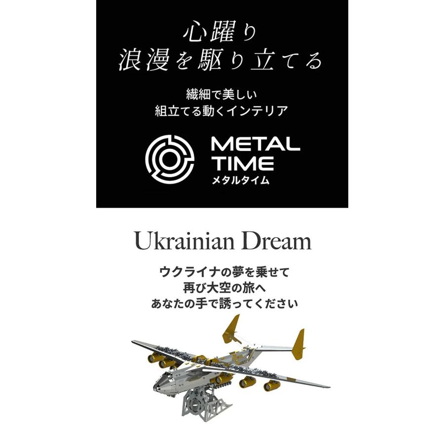 Metal Time Ukrainian Dream 動くプラモデル 模型 組み立て ウクライナ 飛行機 旅客機 戦闘機 プラモ プラモデル フィギュア メタルタイム プレゼント ギフト｜offer1999｜02