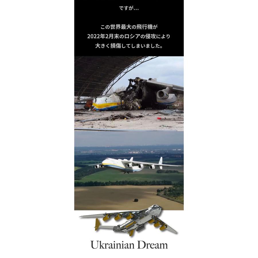 Metal Time Ukrainian Dream 動くプラモデル 模型 組み立て ウクライナ