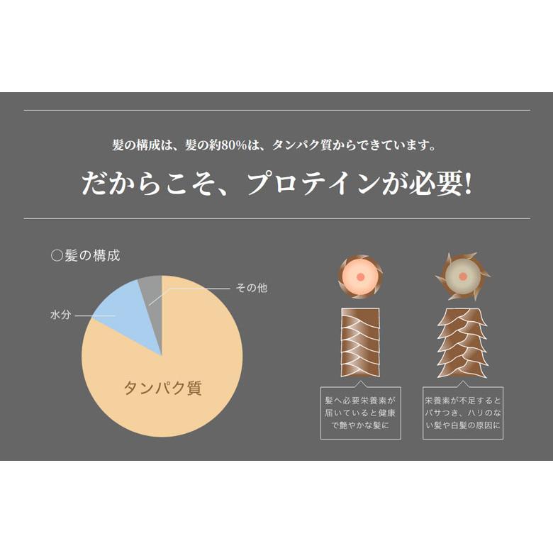 ヘアケア専用のプロテイン プロテクトヘアー プロテイン 髪 毛 毛髪 健康 サプリ 美容 ビターチョコ 美味しい 飲みやすい ホエイプロテイン｜offer1999｜03