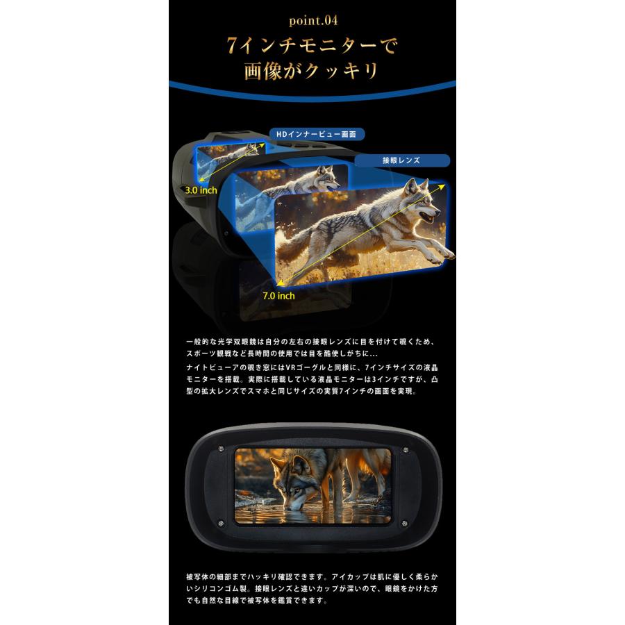 4Kデジタル双眼鏡 ナイトビューア DT79 Wellwin社 双眼鏡 暗視機能 暗