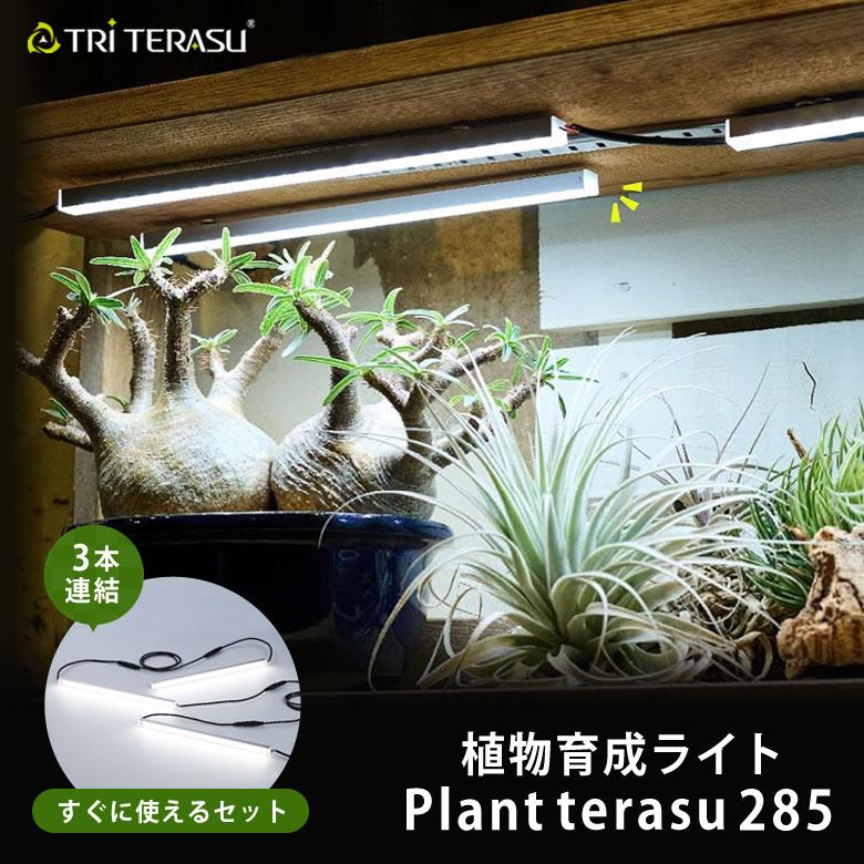 TRiTERASU プラントテラス285(連結) 植物育成ライト 植物 ライト 観葉