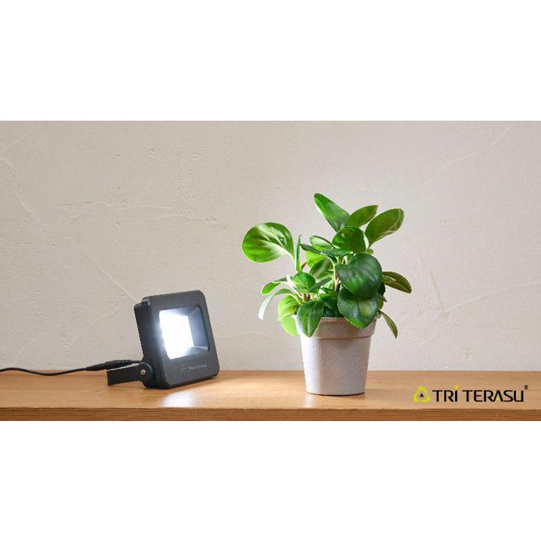 TRiTERASU プラントテラス1115 植物育成ライト 植物 ライト 観葉植物