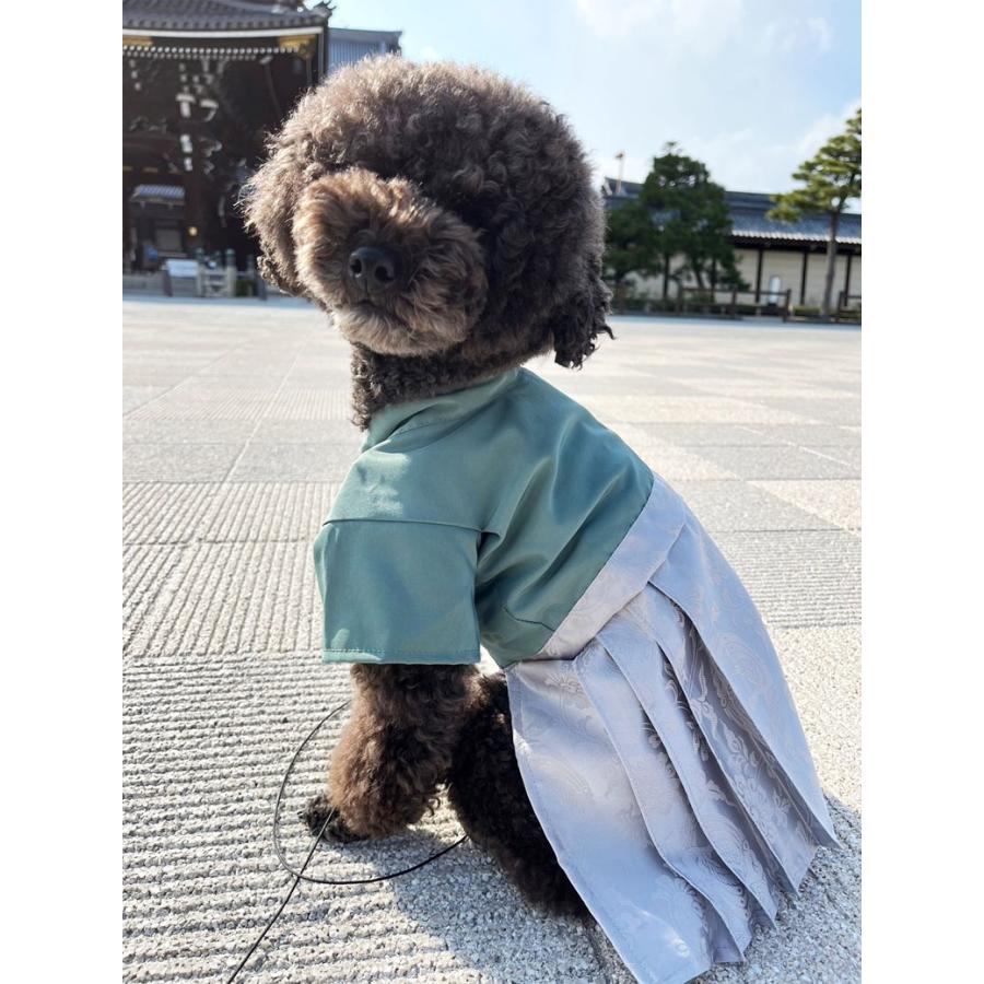 ポわん ペット 和装 犬 猫 イヌ ネコ いぬ ねこ 袴 着物 S-Mサイズ