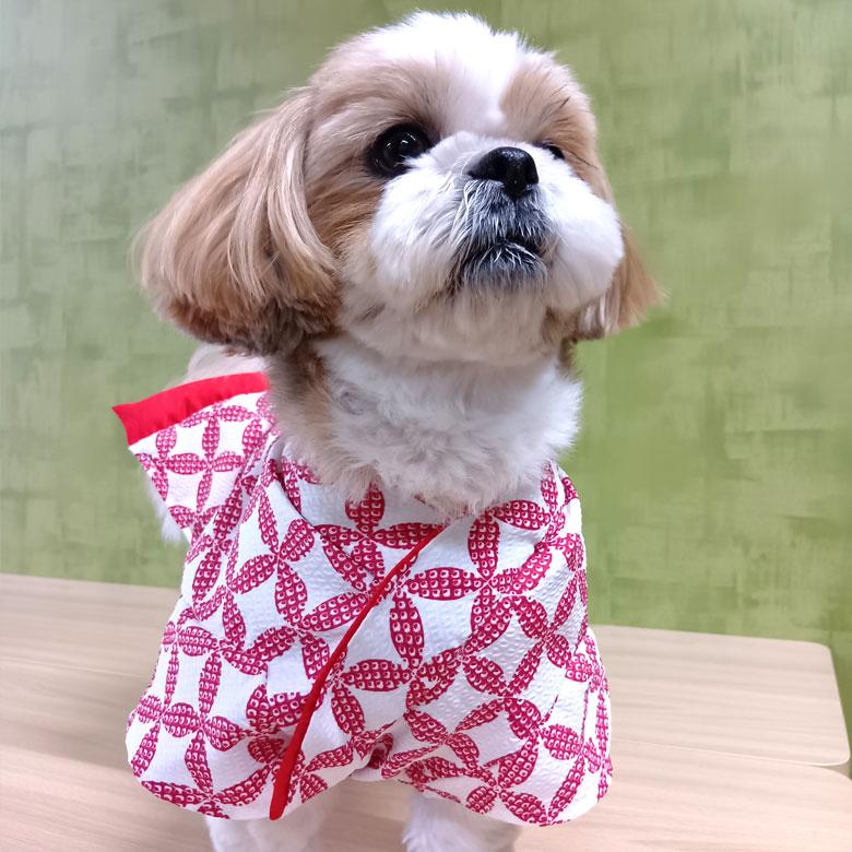 ポわん ペット 和装 犬 猫 イヌ ネコ いぬ ねこ 袴 着物 S-Mサイズ