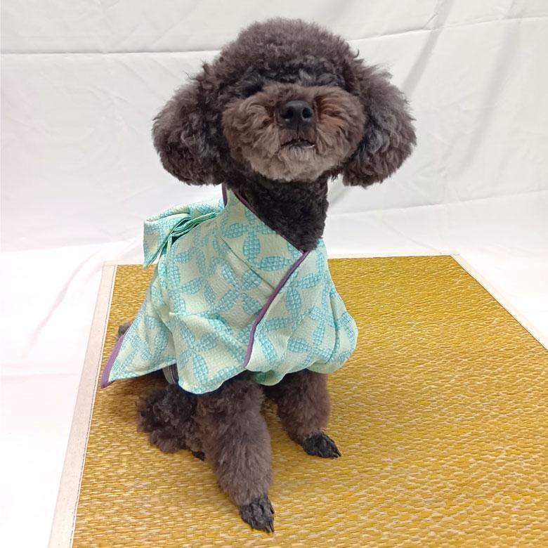 ポわん ペット 和装 犬 猫 イヌ ネコ いぬ ねこ 袴 着物 S-Mサイズ