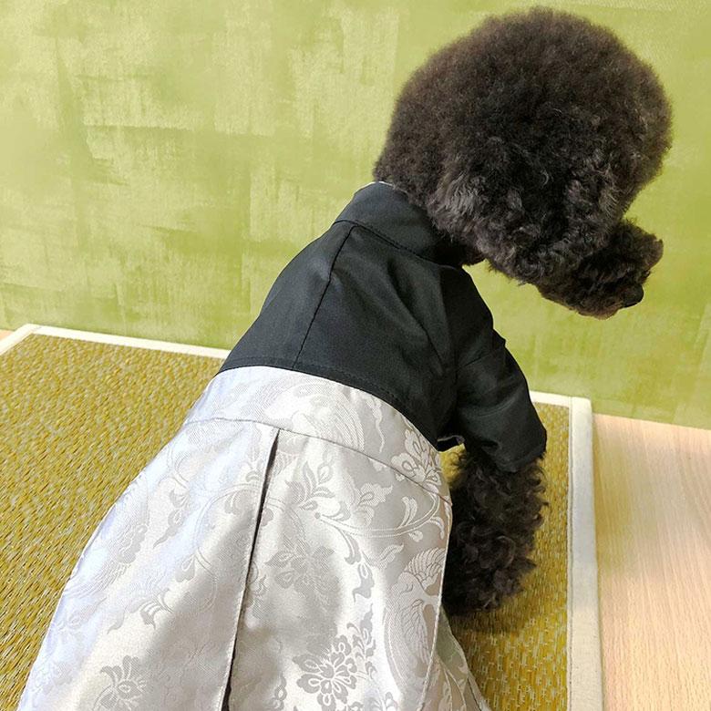 ポわん ペット 和装 犬 猫 イヌ ネコ いぬ ねこ 袴 着物 S-Mサイズ