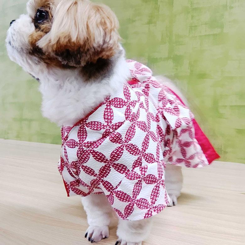 ポわん ペット 和装 犬 猫 イヌ ネコ いぬ ねこ 袴 着物 S-Mサイズ