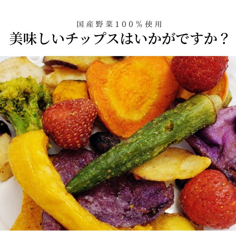 coco-vege わたしにやさしいチップス2袋 国産12種の野菜 ココベジ ここ
