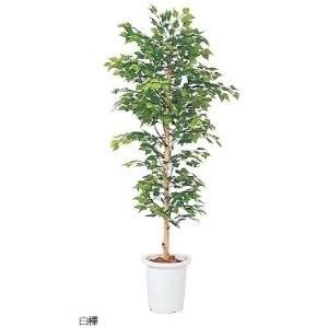 生興 人工樹木 白樺 SK-18