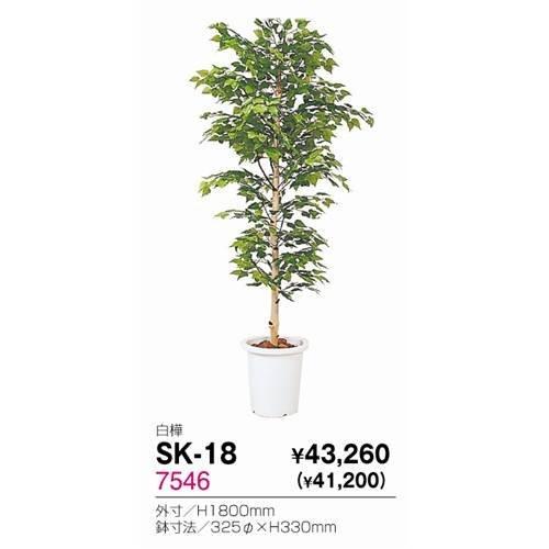 白樺の森 長野 油絵 F10 白樺の森 長野 油絵 F10 白樺の森 長野