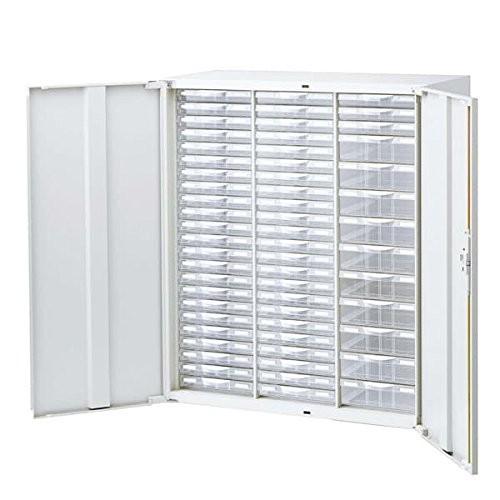 生興 クウォール システム収納庫 扉付 チックキャビネット W900×D450×H1050 RW45-N10HC59