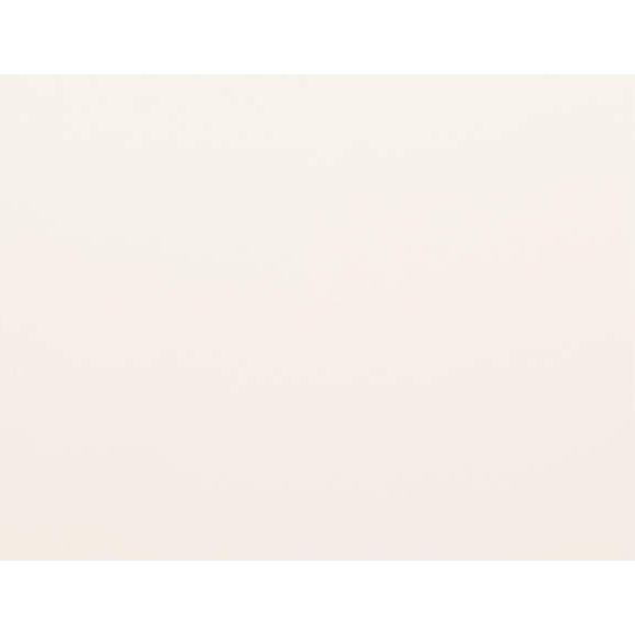 ライオン事務器 品番56235 平机　LT-127N-WW